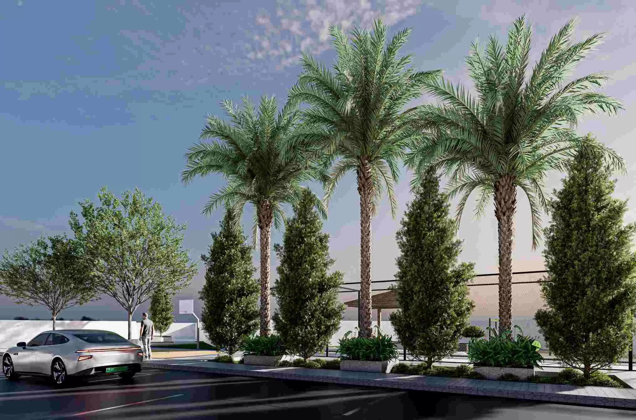 Avenue Plantation